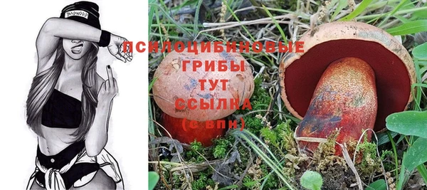 spice Верея
