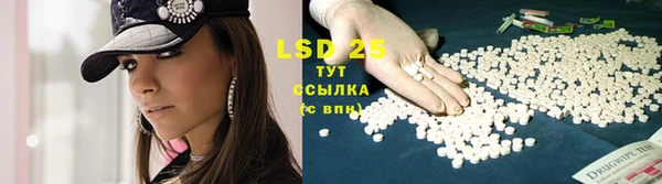 spice Верея