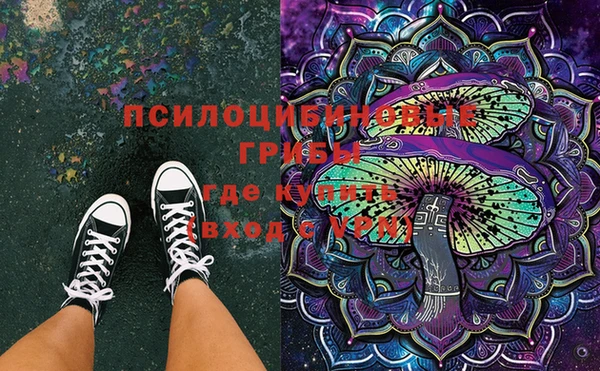 spice Верея