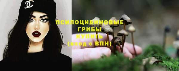 спиды Верхний Тагил