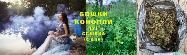 ПСИЛОЦИБИНОВЫЕ ГРИБЫ Бугульма