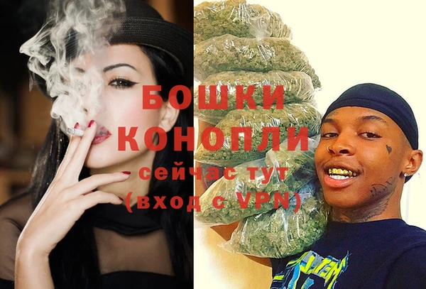 spice Верея