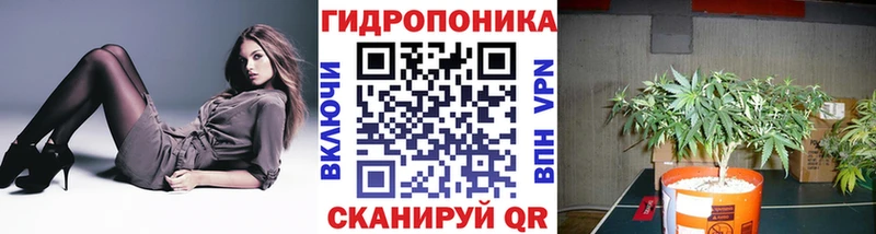 Шишки марихуана план  Верхотурье 